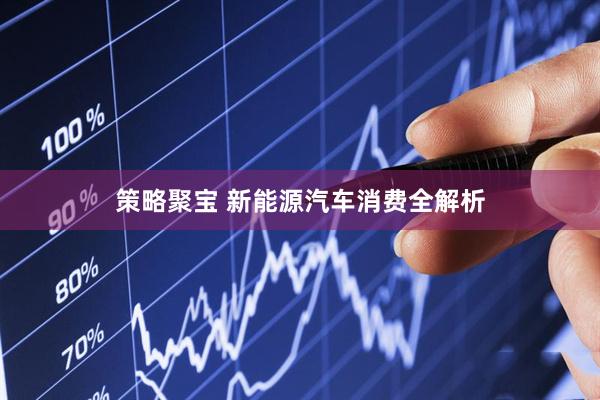 策略聚宝 新能源汽车消费全解析